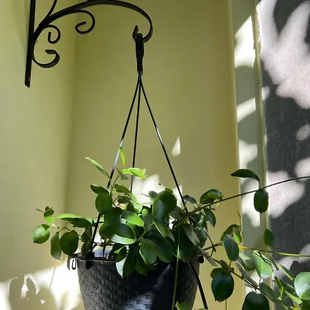 Magnolia Appartement Boedapest